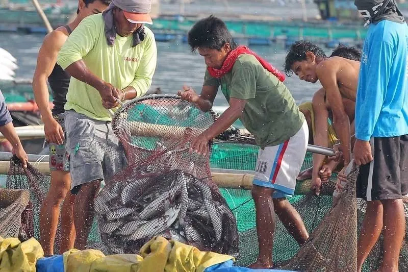Local crew on La Isla Zulueta